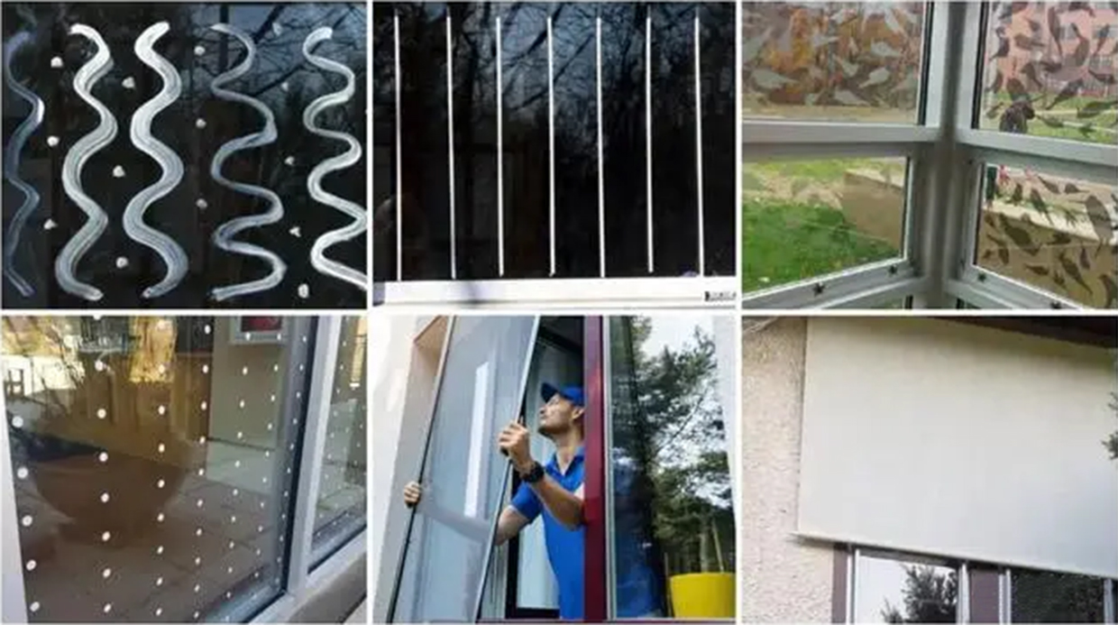 通化隐形防鸟撞膜